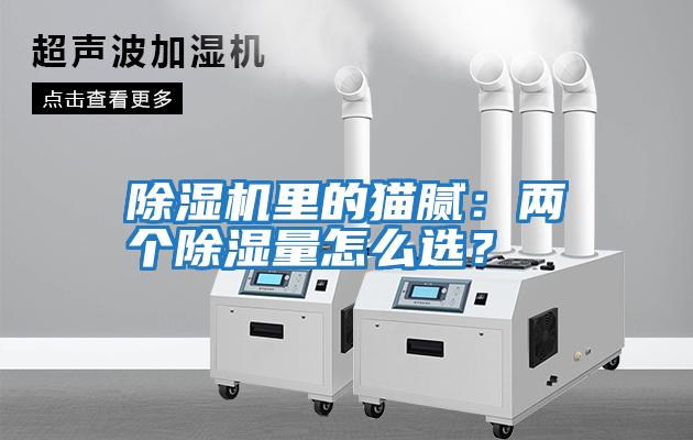 除濕機(jī)里的貓膩：兩個(gè)除濕量怎么選？