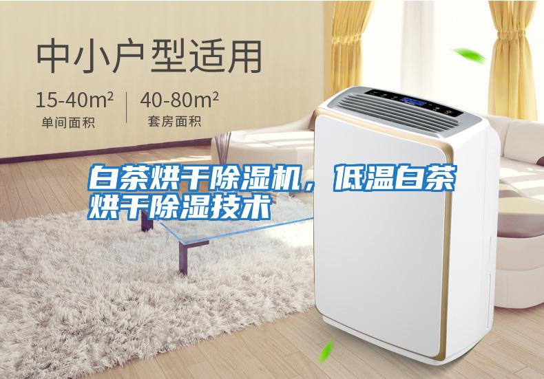 白茶烘干除濕機(jī)，低溫白茶烘干除濕技術(shù)