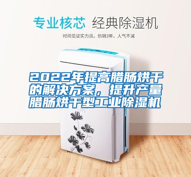 2022年提高臘腸烘干的解決方案，提升產量臘腸烘干型工業除濕機