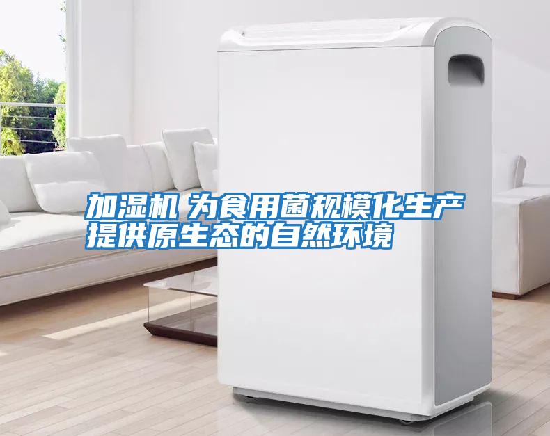 加濕機　為食用菌規?；a提供原生態的自然環境