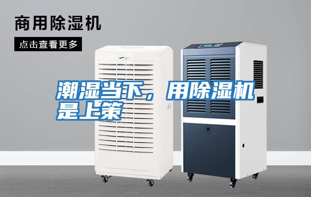 潮濕當(dāng)下，用除濕機(jī)是上策