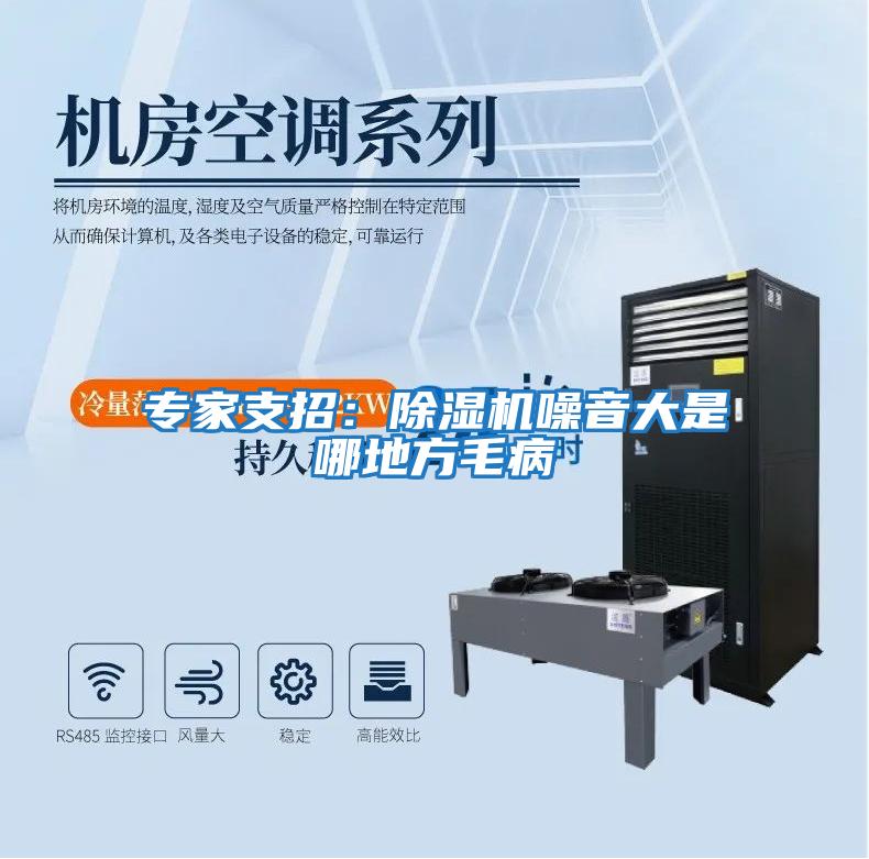 專(zhuān)家支招:除濕機(jī)噪音大是哪地方毛病