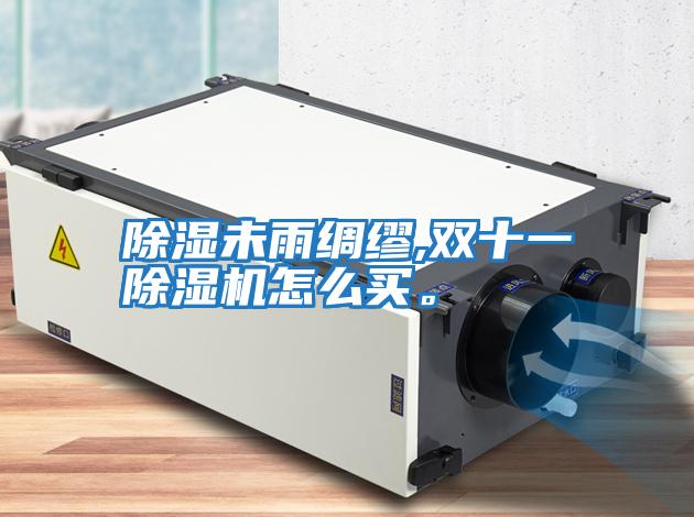 除濕未雨綢繆,雙十一除濕機怎么買。