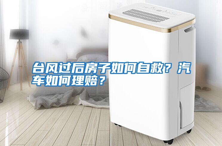 臺風過后房子如何自救？汽車如何理賠？