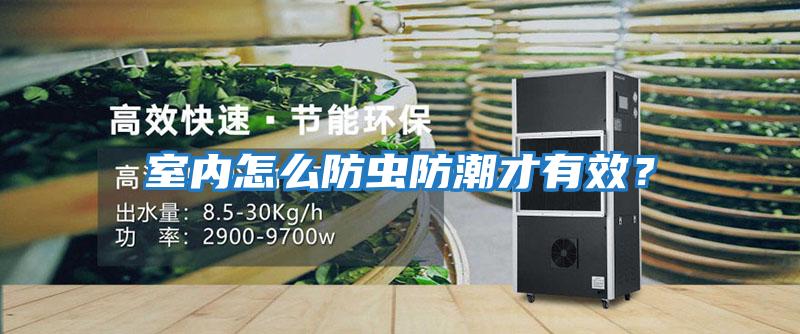 室內怎么防蟲防潮才有效？