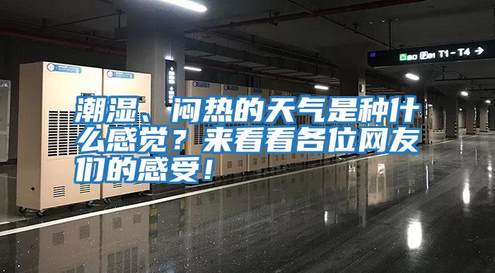 潮濕、悶熱的天氣是種什么感覺？來看看各位網友們的感受！