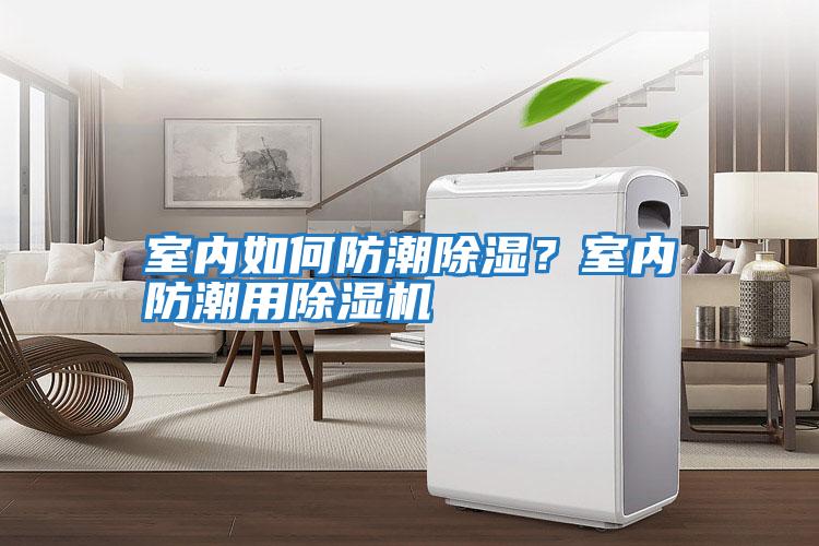 室內如何防潮除濕？室內防潮用除濕機