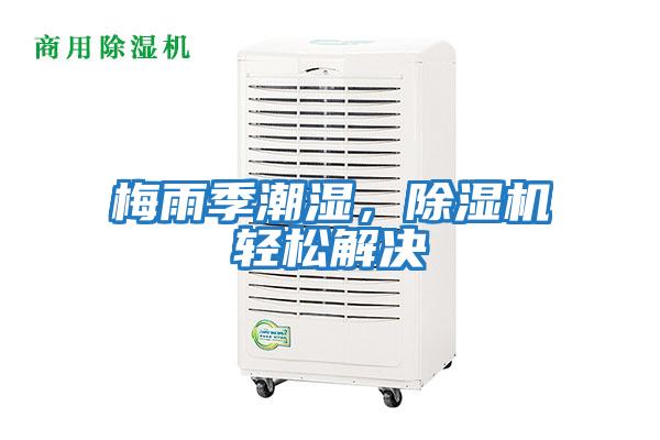 梅雨季潮濕，除濕機輕松解決