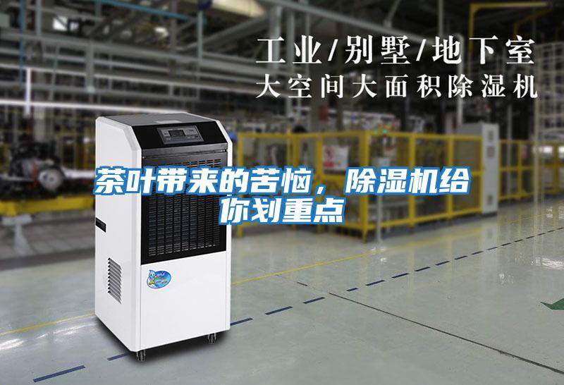 茶葉帶來的苦惱，除濕機給你劃重點
