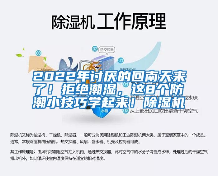 2022年討厭的回南天來了！拒絕潮濕，這8個防潮小技巧學起來！除濕機