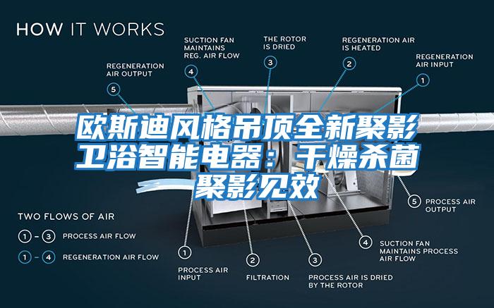 歐斯迪風格吊頂全新聚影衛浴智能電器：干燥殺菌 聚影見效