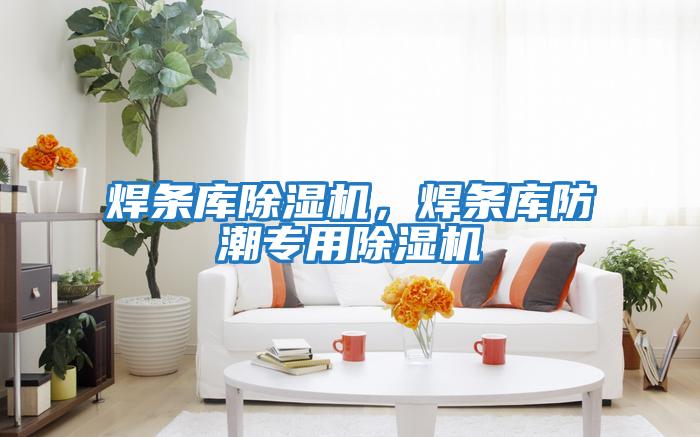 焊條庫除濕機，焊條庫防潮專用除濕機