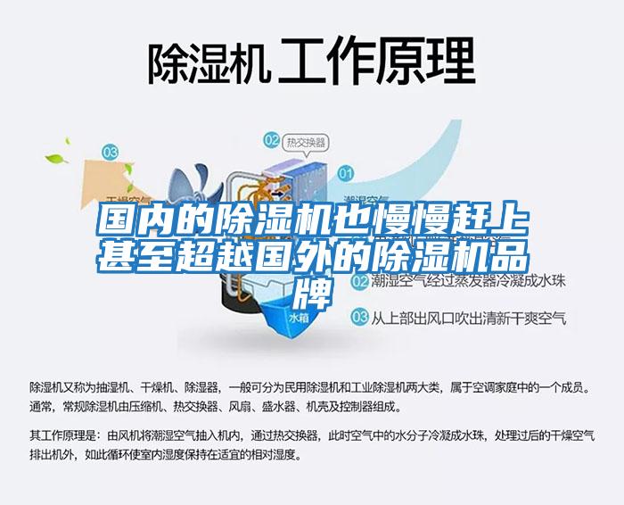 國內的除濕機也慢慢趕上甚至超越國外的除濕機品牌