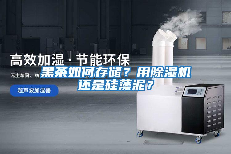 黑茶如何存儲？用除濕機還是硅藻泥？