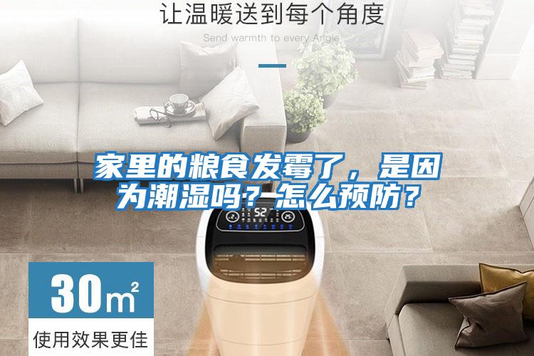 家里的糧食發霉了，是因為潮濕嗎？怎么預防？
