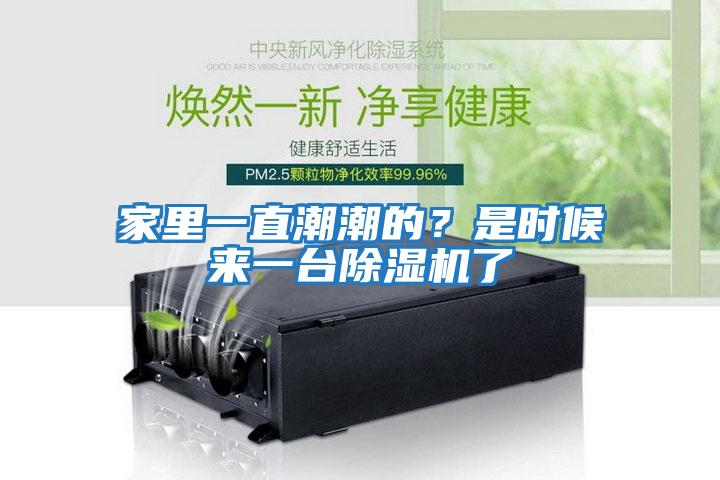 家里一直潮潮的？是時候來一臺除濕機了