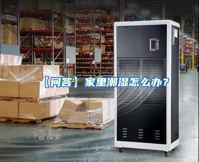 【問答】家里潮濕怎么辦？