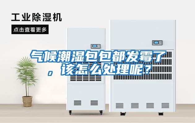 氣候潮濕包包都發霉了，該怎么處理呢？