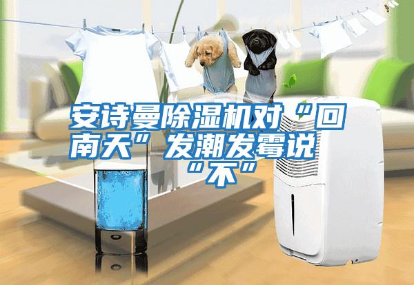 安詩曼除濕機對“回南天”發潮發霉說“不”