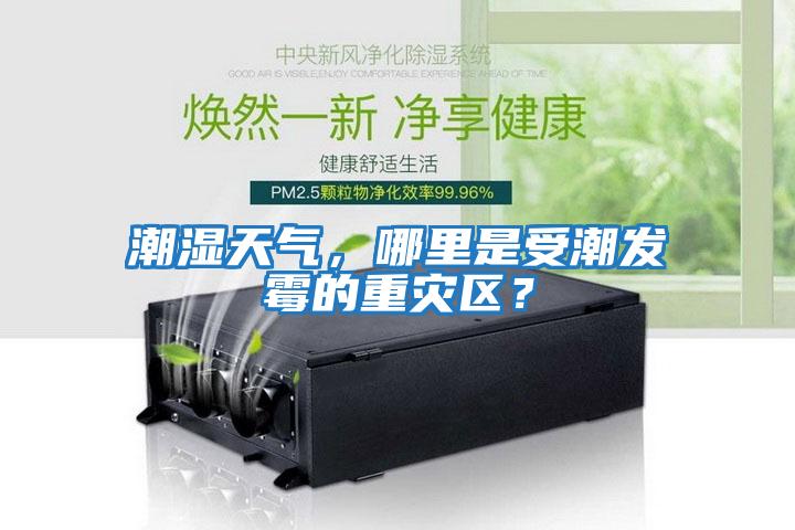 潮濕天氣，哪里是受潮發(fā)霉的重災(zāi)區(qū)？