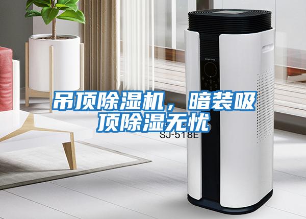 吊頂除濕機，暗裝吸頂除濕無憂
