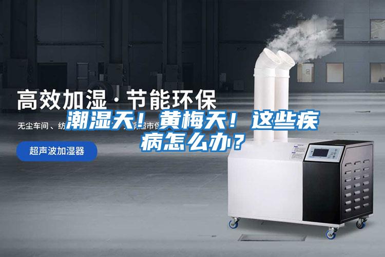 潮濕天！黃梅天！這些疾病怎么辦？