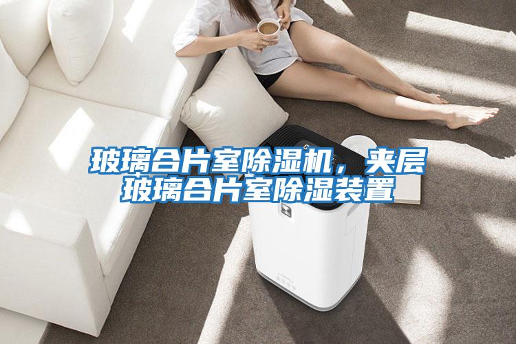 玻璃合片室除濕機，夾層玻璃合片室除濕裝置