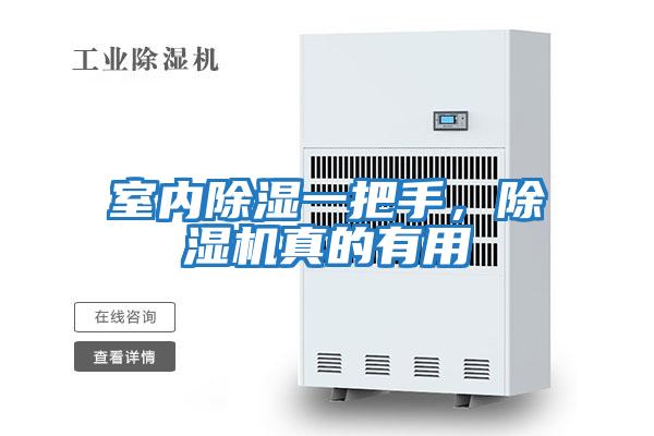 室內除濕一把手，除濕機真的有用