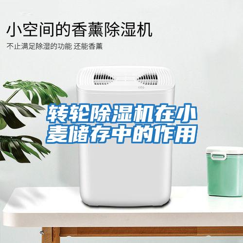 轉輪除濕機在小麥儲存中的作用