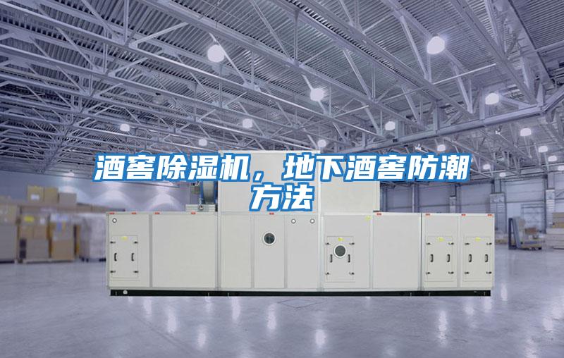 酒窖除濕機，地下酒窖防潮方法