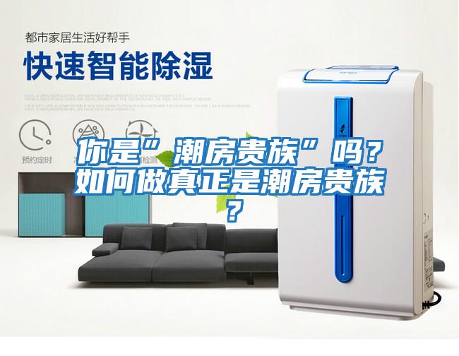 你是”潮房貴族”嗎？如何做真正是潮房貴族？
