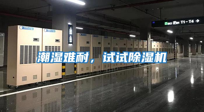 潮濕難耐，試試除濕機