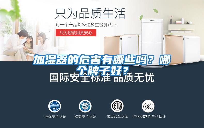 加濕器的危害有哪些嗎？哪個牌子好？