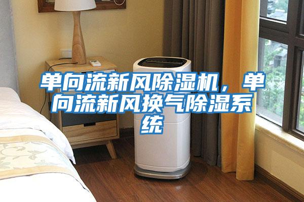 單向流新風除濕機，單向流新風換氣除濕系統