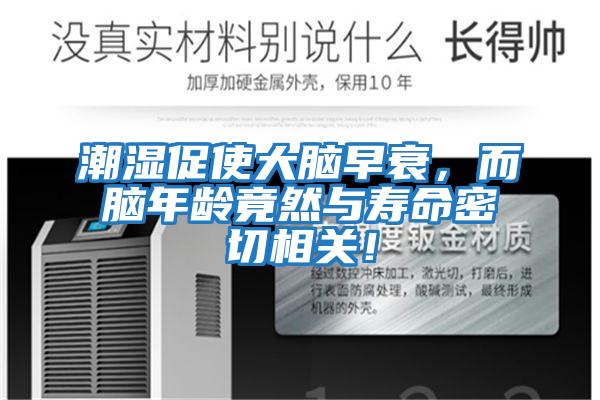 潮濕促使大腦早衰，而腦年齡竟然與壽命密切相關！
