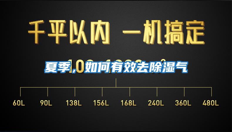 夏季，如何有效去除濕氣