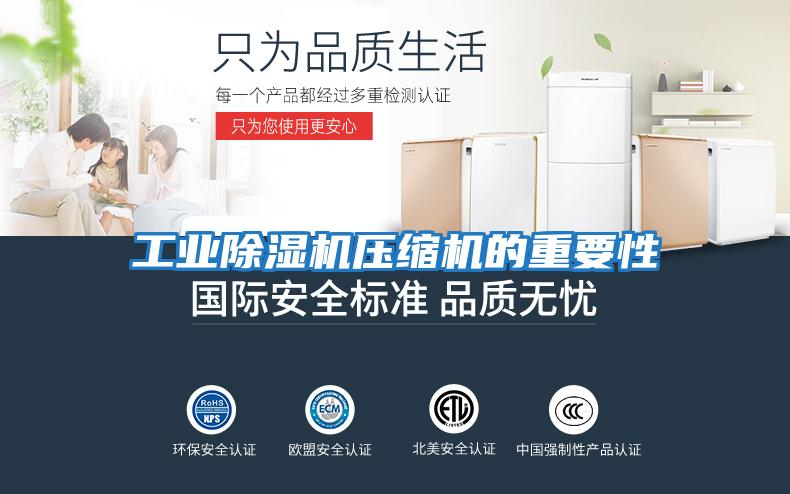 工業除濕機壓縮機的重要性