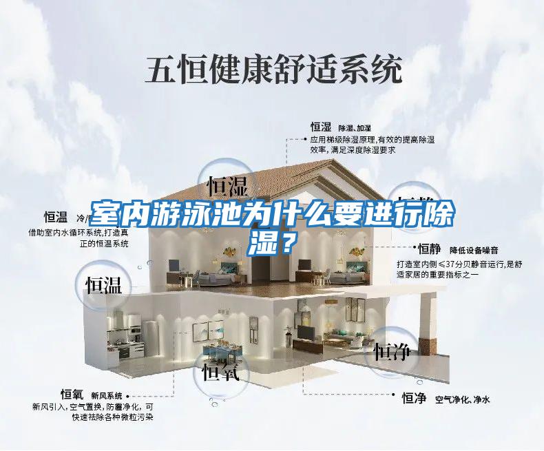 室內游泳池為什么要進行除濕？