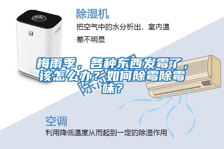 梅雨季，各種東西發(fā)霉了，該怎么辦？如何除霉除霉味？
