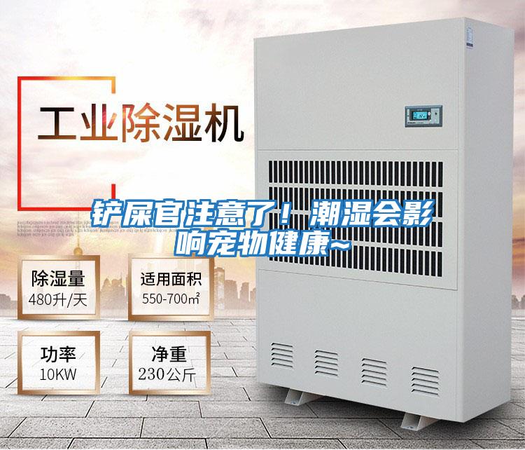 鏟屎官注意了！潮濕會影響寵物健康~