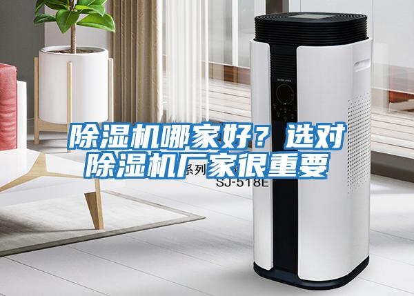 除濕機(jī)哪家好？選對(duì)除濕機(jī)廠(chǎng)家很重要