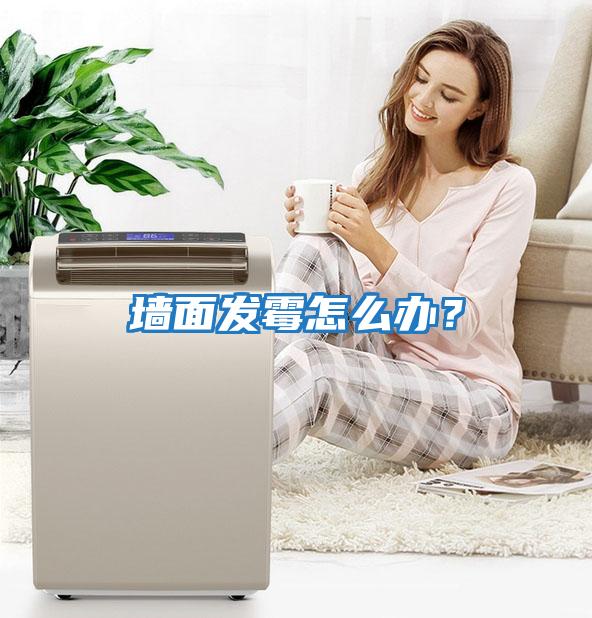 墻面發霉怎么辦？