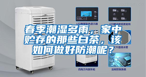 春季潮濕多雨，家中貯存的那些白茶，該如何做好防潮呢？