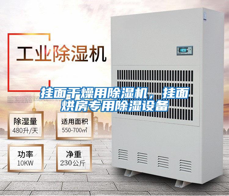掛面干燥用除濕機(jī)，掛面烘房專(zhuān)用除濕設(shè)備