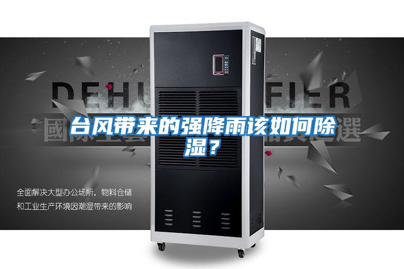 臺風帶來的強降雨該如何除濕？