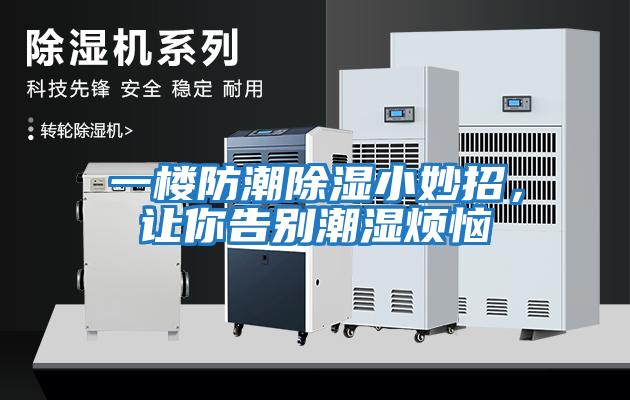 一樓防潮除濕小妙招，讓你告別潮濕煩惱
