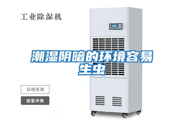 潮濕陰暗的環境容易生蟲