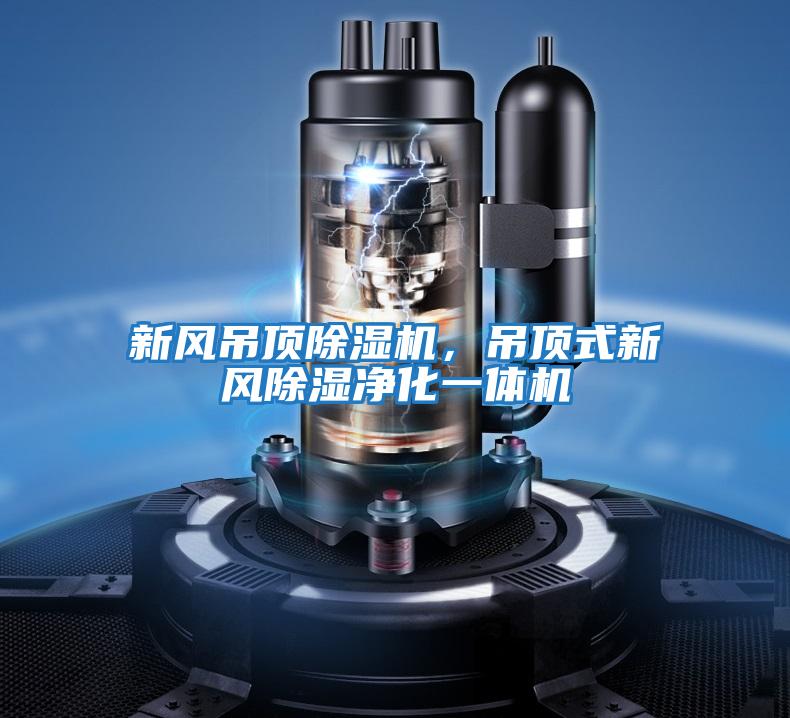 新風(fēng)吊頂除濕機(jī)，吊頂式新風(fēng)除濕凈化一體機(jī)