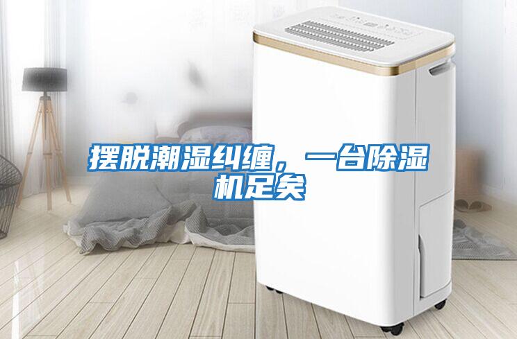 擺脫潮濕糾纏，一臺除濕機足矣