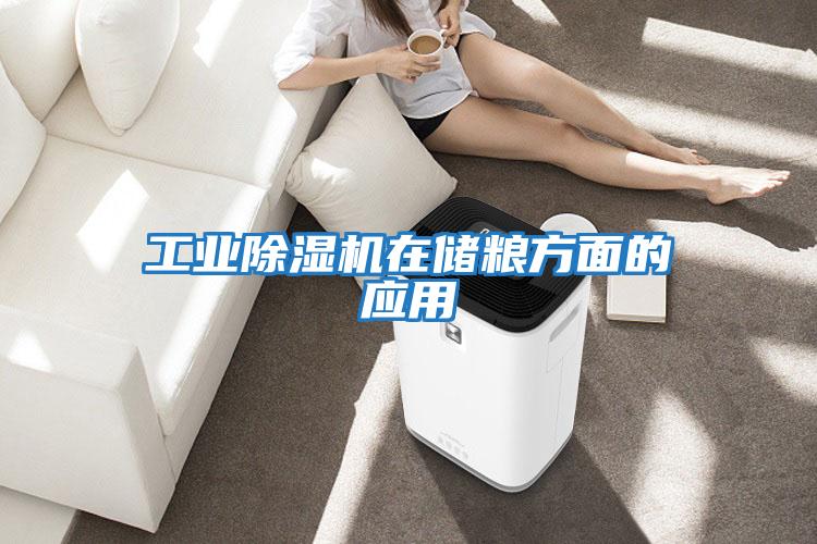 工業除濕機在儲糧方面的應用